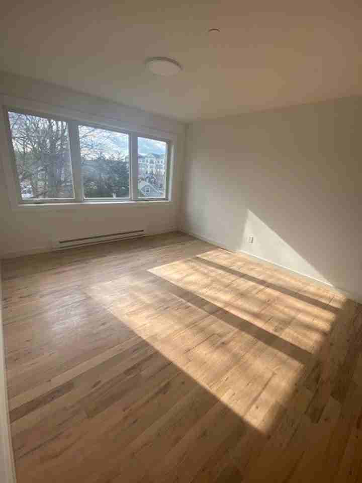 25 Springside Ave - Photo 6 of 50