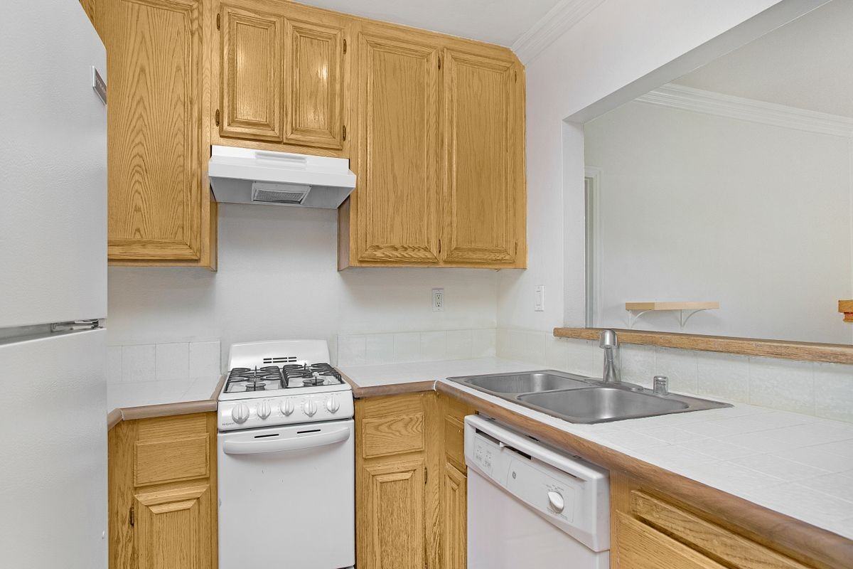 17 Rosa - Photo 2 of 14