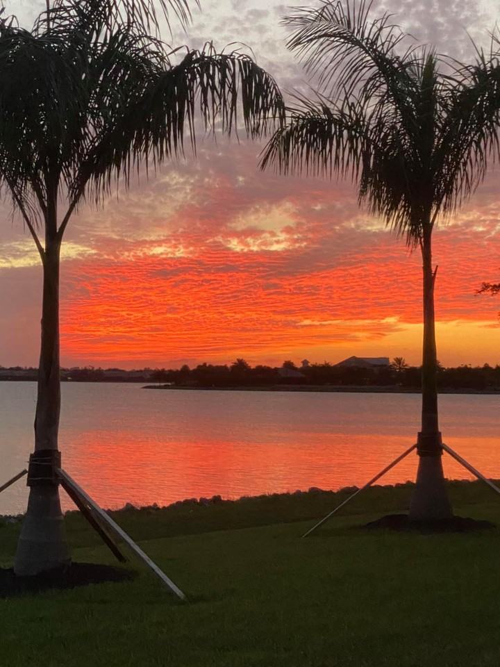 14024 Hawks Eye Ct #NA - Photo 2 of 27