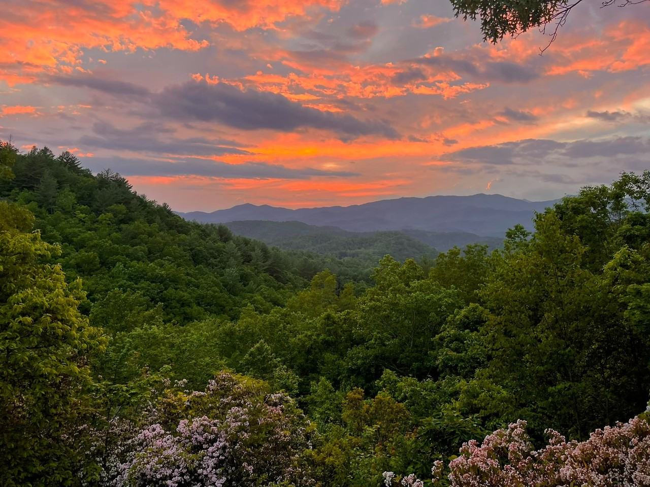 563 Claude Rogers Rd #563 - Photo 2 of 19