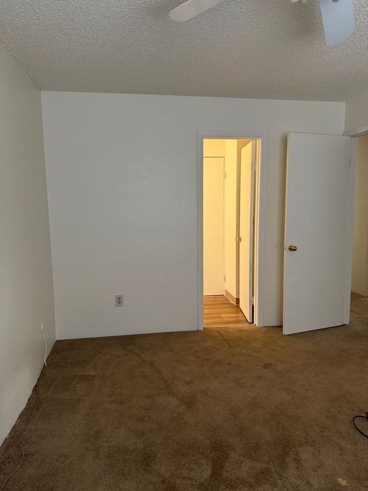4988 Ivor Dr - Photo 5 of 14