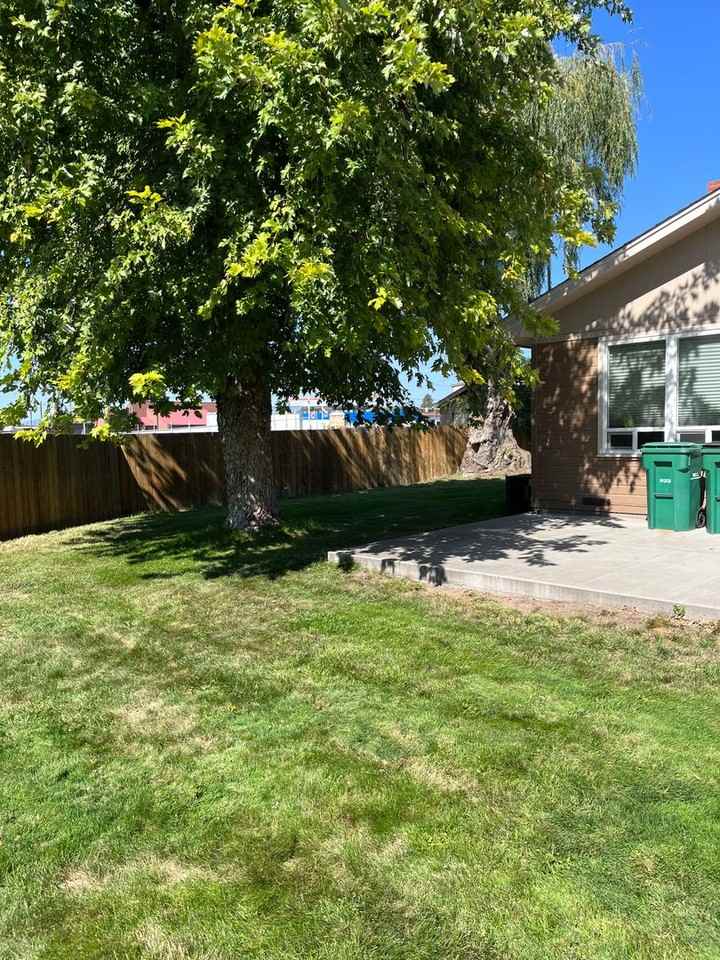 2344 Nile St - Photo 3 of 20