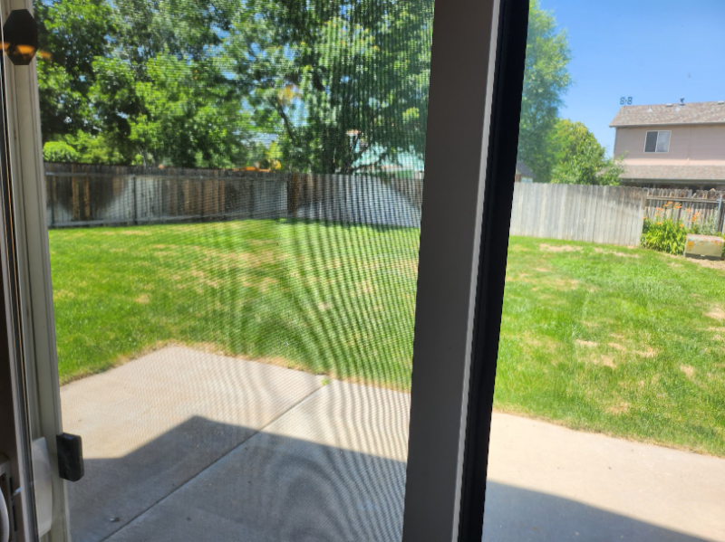 3625 Bobcat Ln - Photo 5 of 16