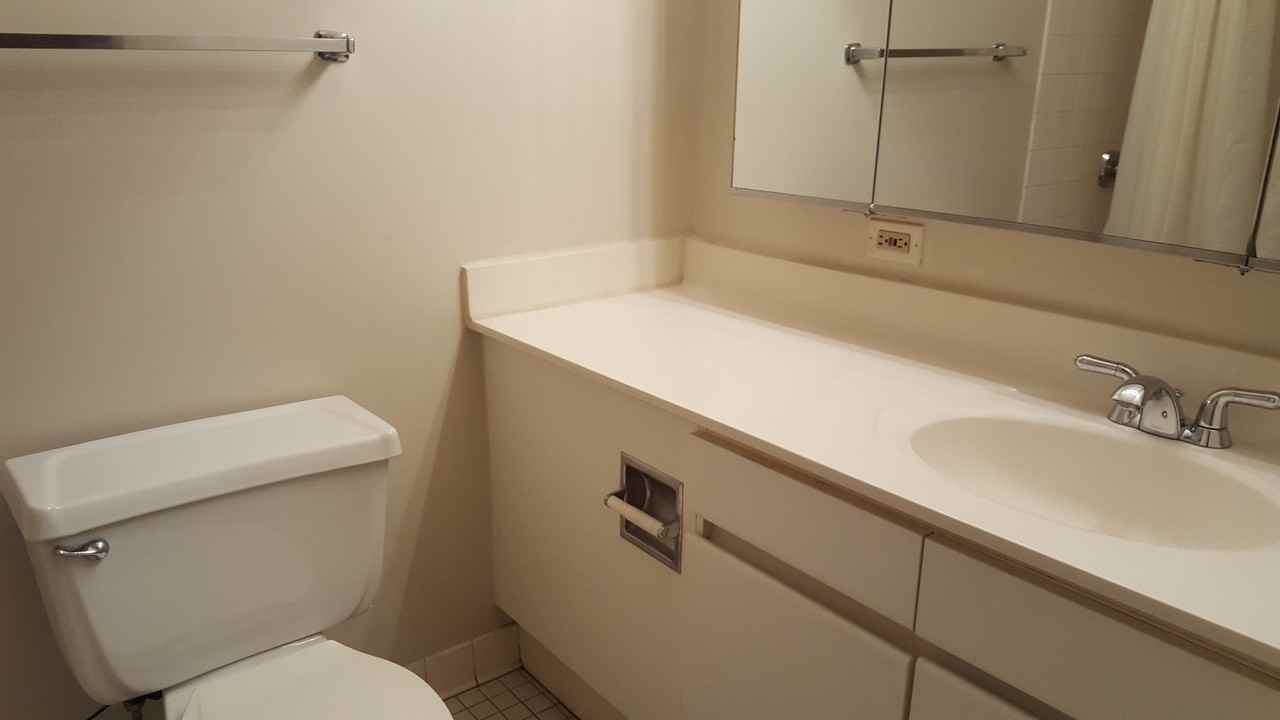 440 N Wabash Ave #1911 - Photo 6 of 22