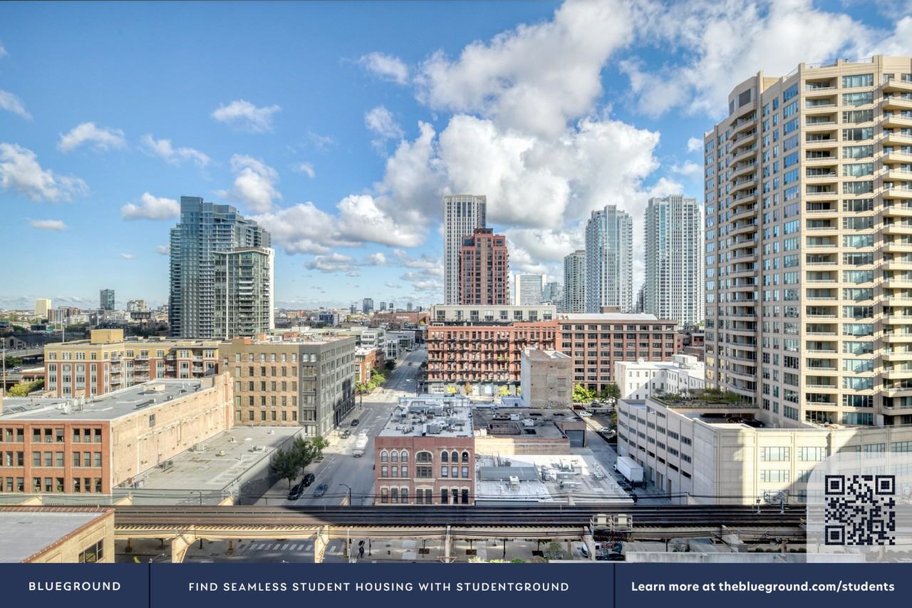 165 North Des Plaines Street - Photo 7 of 112