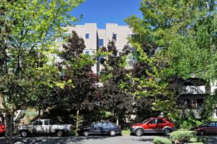 Tanglewood Apartments - Photo 1 of 1