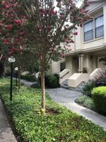 featured image of 967 La Mesa Ter #D