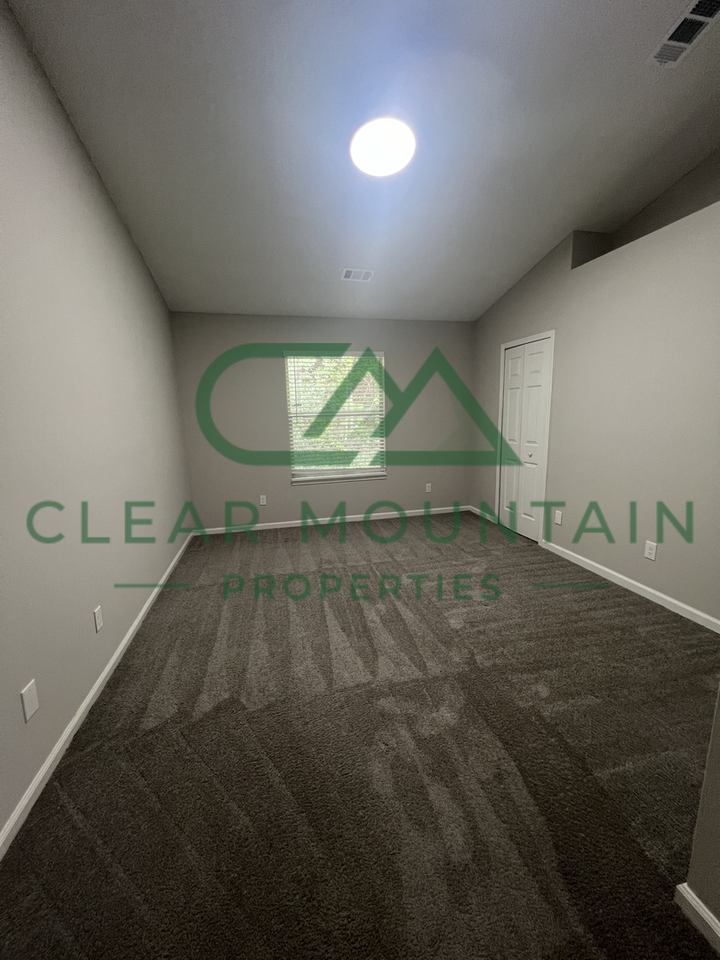 20 Swamp Fire Court - Photo 7 of 13