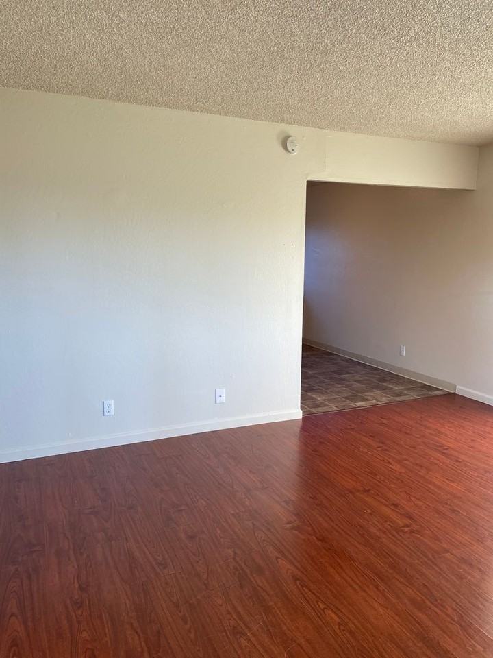 1575 Olive Ave #06 - Photo 4 of 16