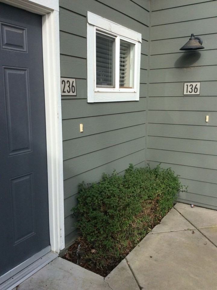 1818 Moore Blvd #235 - Photo 3 of 22