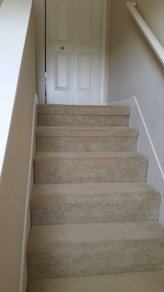 1818 Moore Blvd #235 - Photo 5 of 22