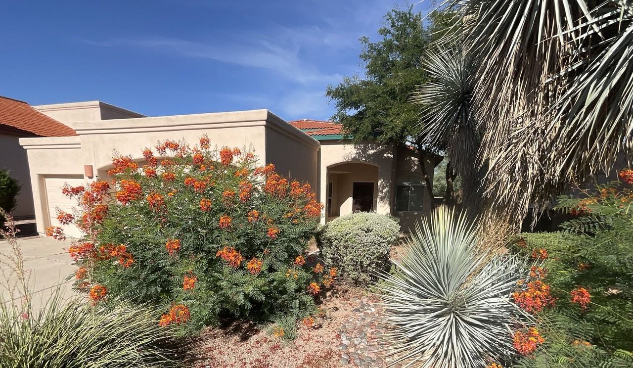 2165 N Camino Agrios - Photo 2 of 34