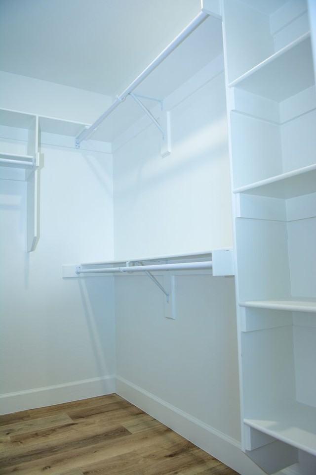 430 Blue Springs Street - Photo 6 of 9