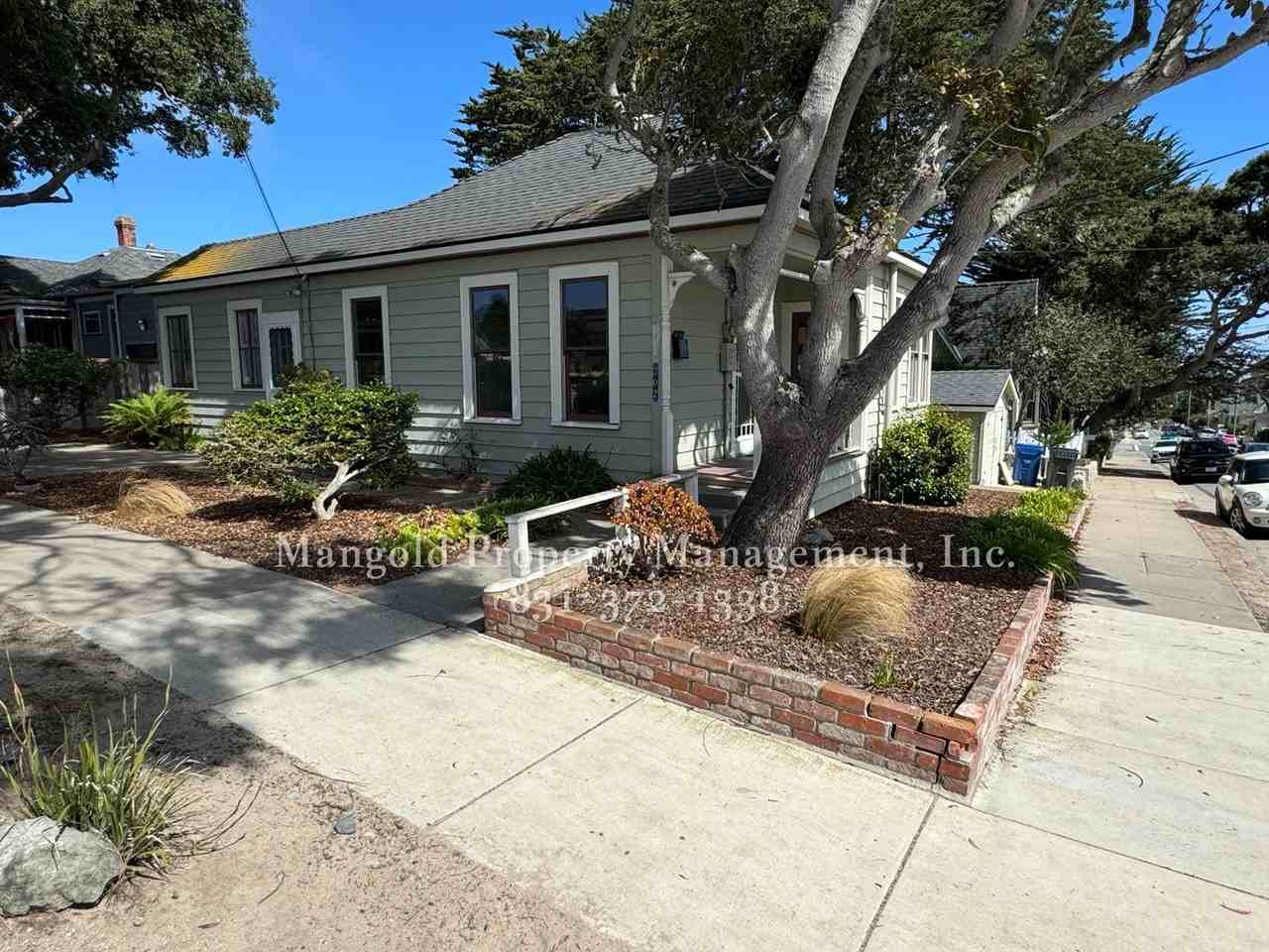 702pine - Photo 2 of 21