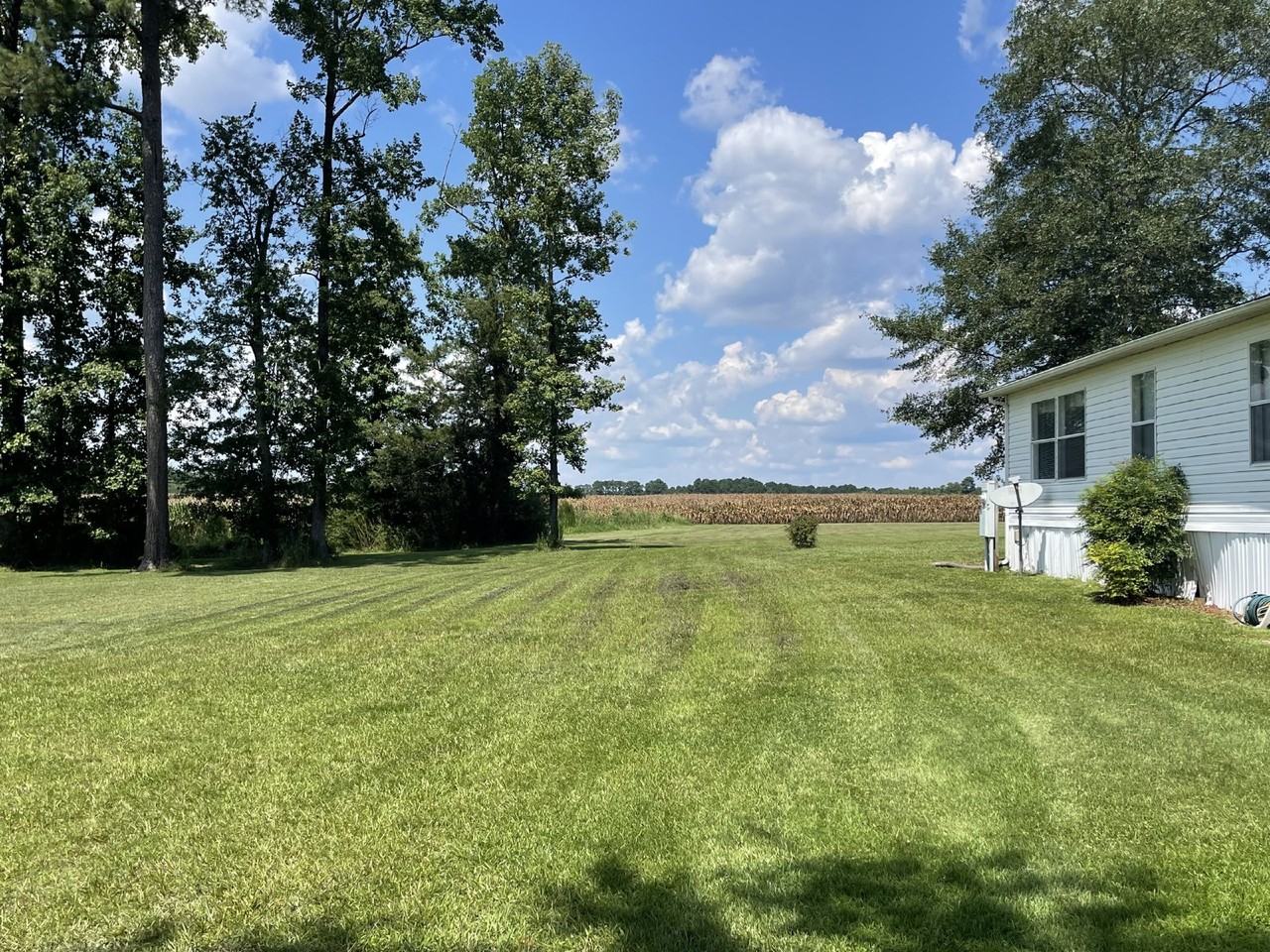 180 Herman Futrell Ln - Photo 3 of 50