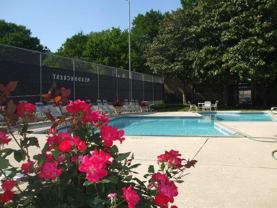 5200 Meadowcreek Dr #B5 - Photo 1 of 1