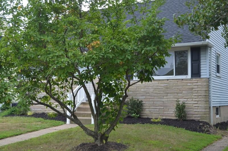 837 Devenney Dr - Photo 3 of 34