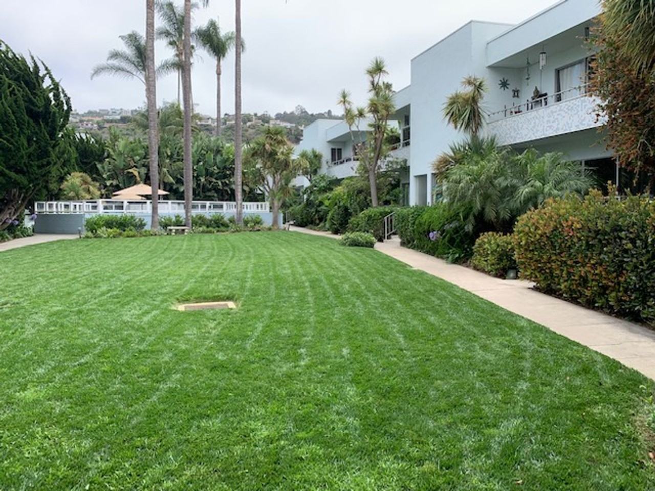 2358 Torrey Pines Rd - Photo 3 of 26