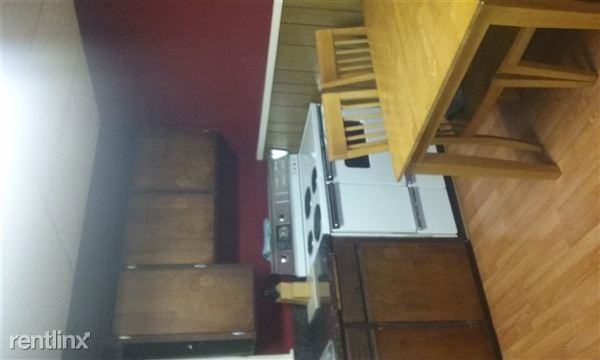 411 Gratiot Blvd - Photo 3 of 4