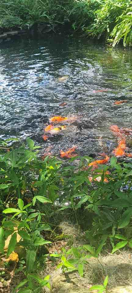 800 N Citrus Ave #NA - Photo 2 of 21