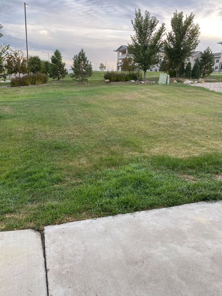 901 Bremner Ave - Photo 2 of 15