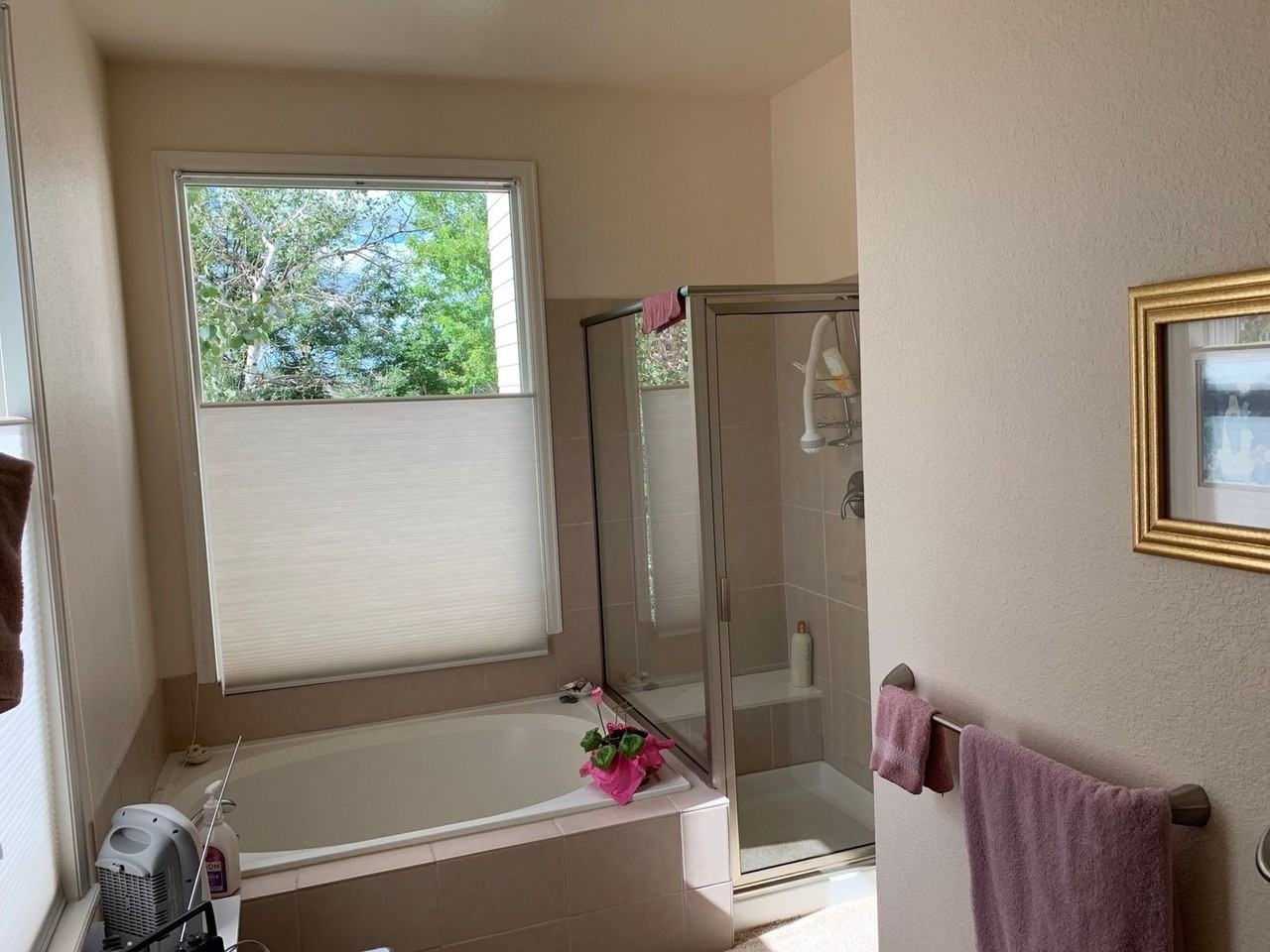 815 Spyglass Cir - Photo 4 of 24