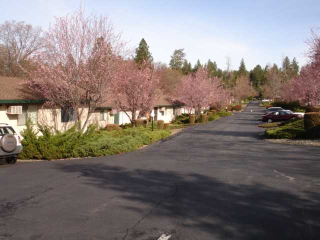 475 Nunneley Road - Photo 2 of 10