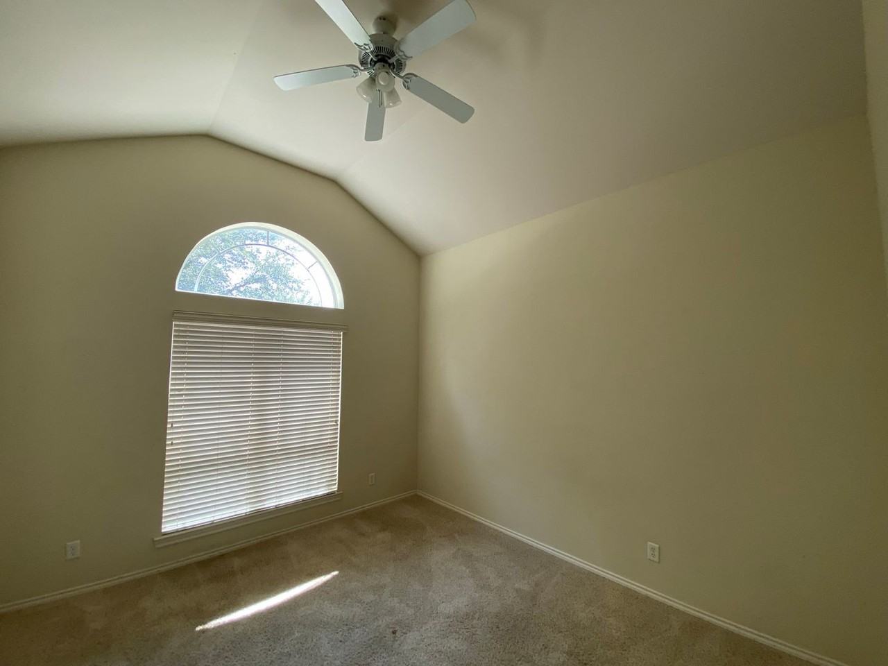 6005 Brazos St - Photo 7 of 13