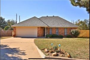 featured image of 18 Queen Anns Lace