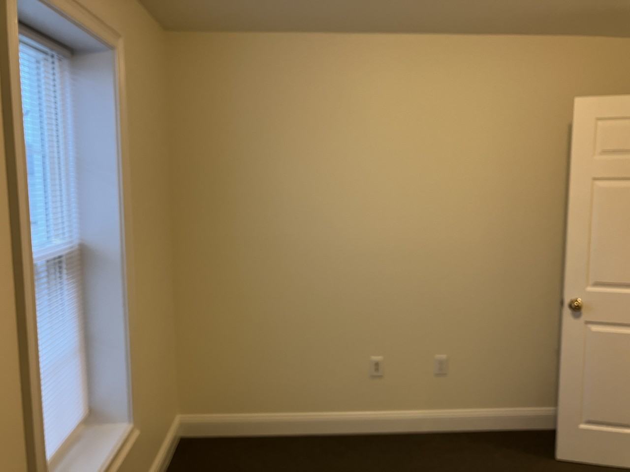 507 Pine Street #3 - Photo 4 of 21