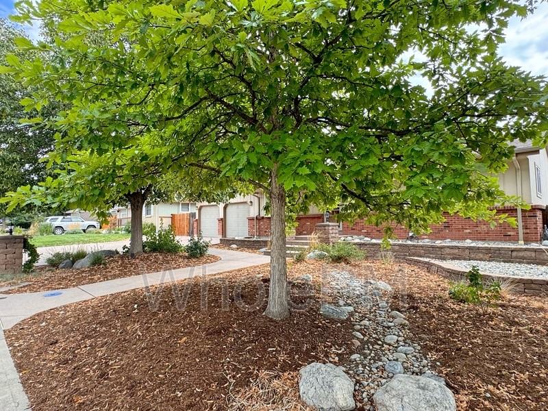 5272 Arbutus St - Photo 3 of 47