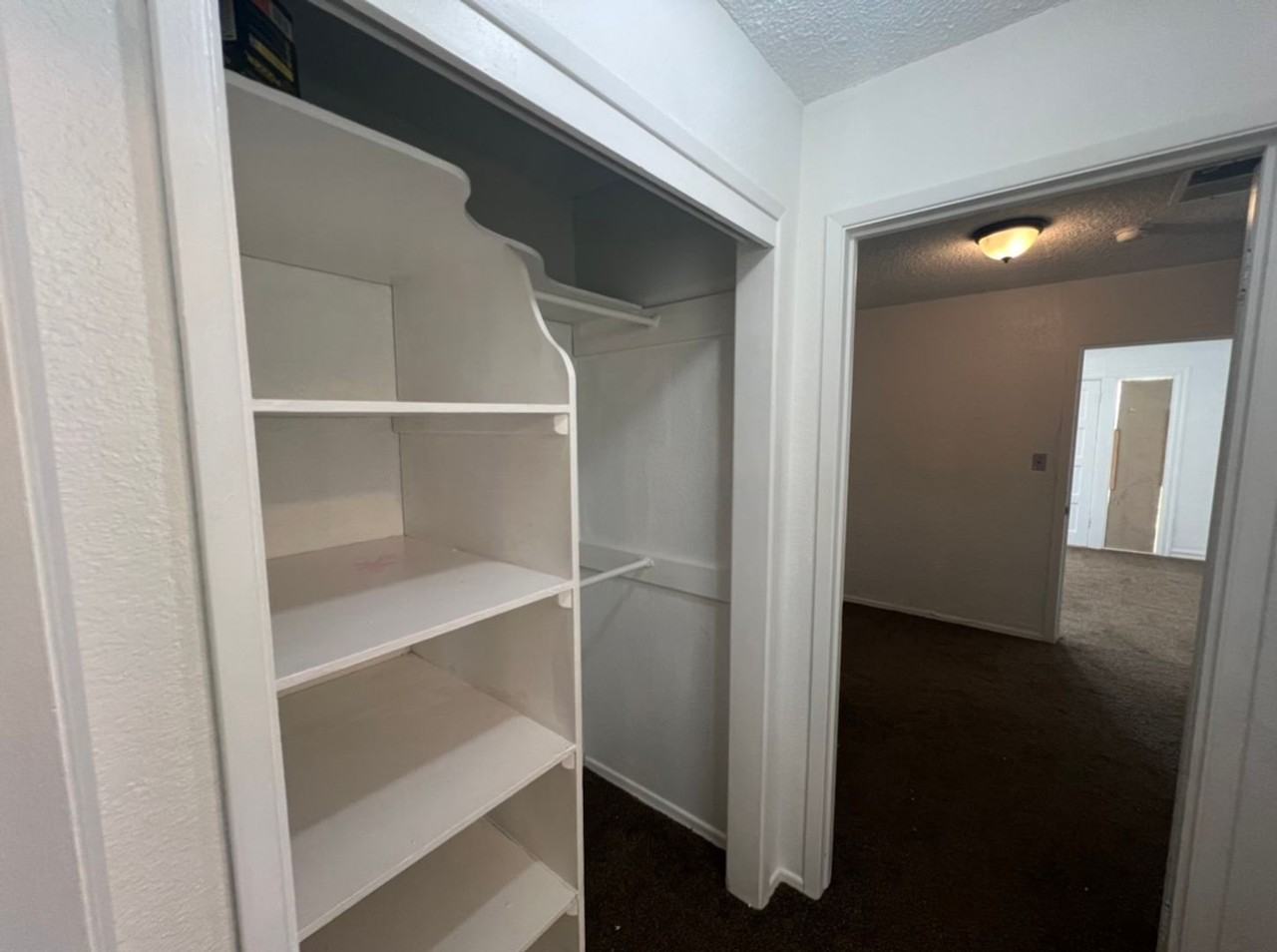 NewB VS 253 - Photo 3 of 7