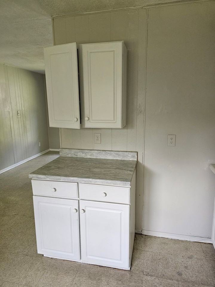 1619 Northern Spy Trail - Photo 7 of 18