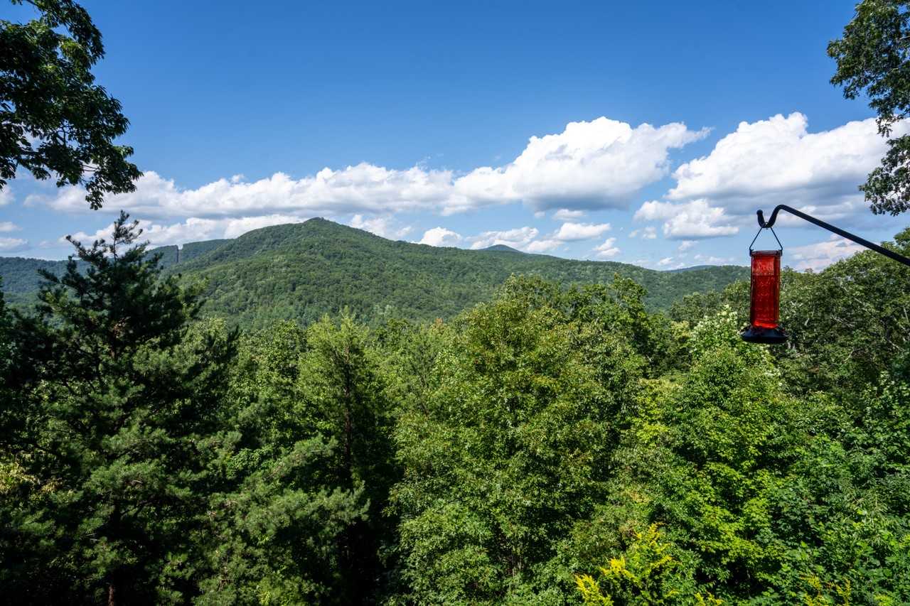 399 Orchid Trl #NA - Photo 4 of 23