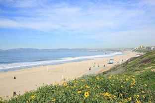 337 Calle Miramar ## 341 - Photo 1 of 1