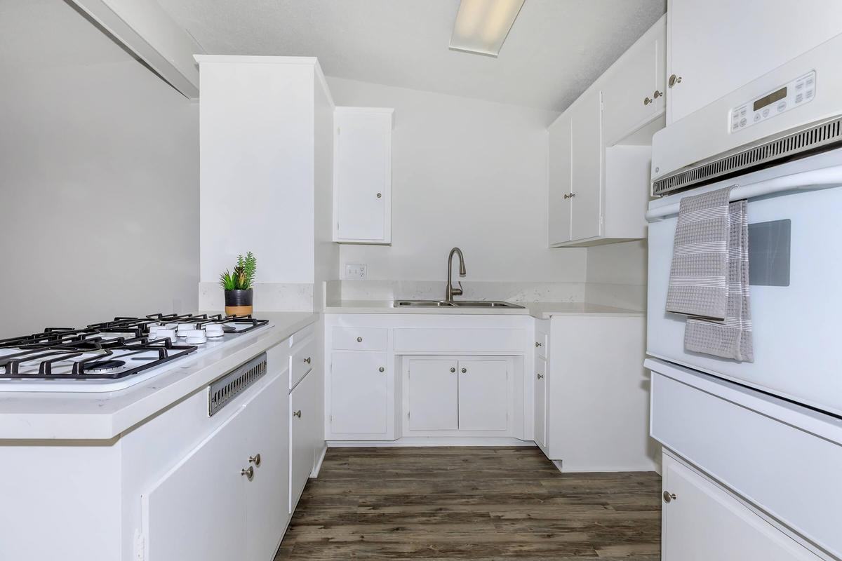 337 Calle Miramar - Photo 3 of 36