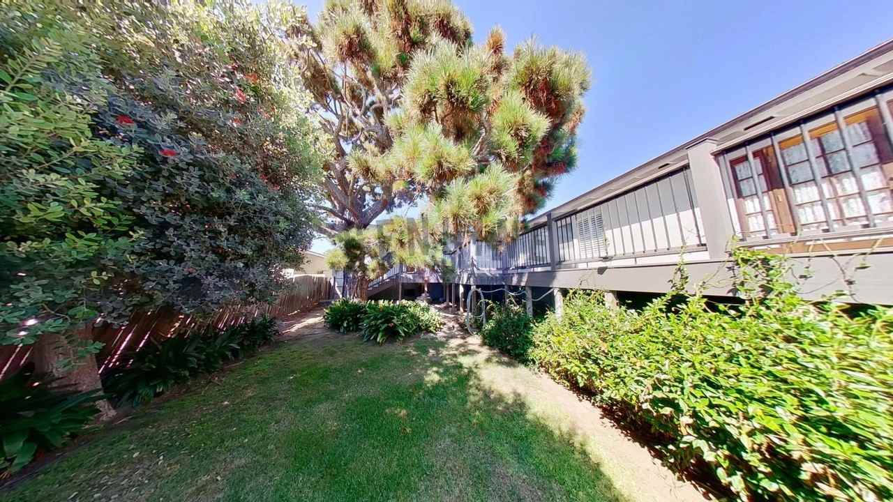 436 Morning Canyon Rd - Photo 3 of 36