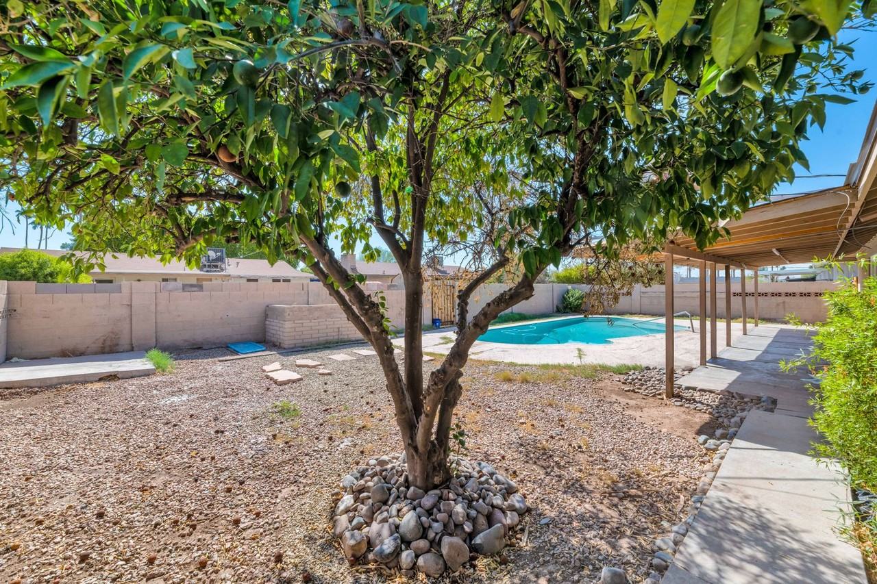 3315 S Ventura Dr - Photo 2 of 19