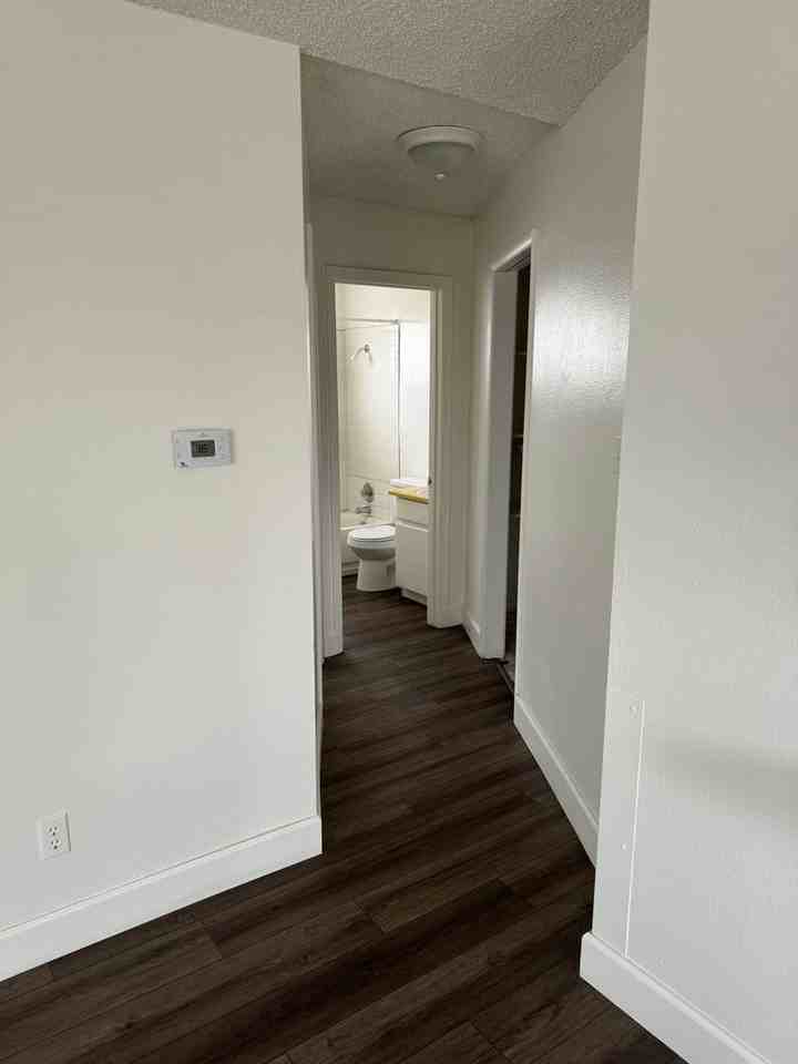 4000 Shinners - Photo 2 of 12