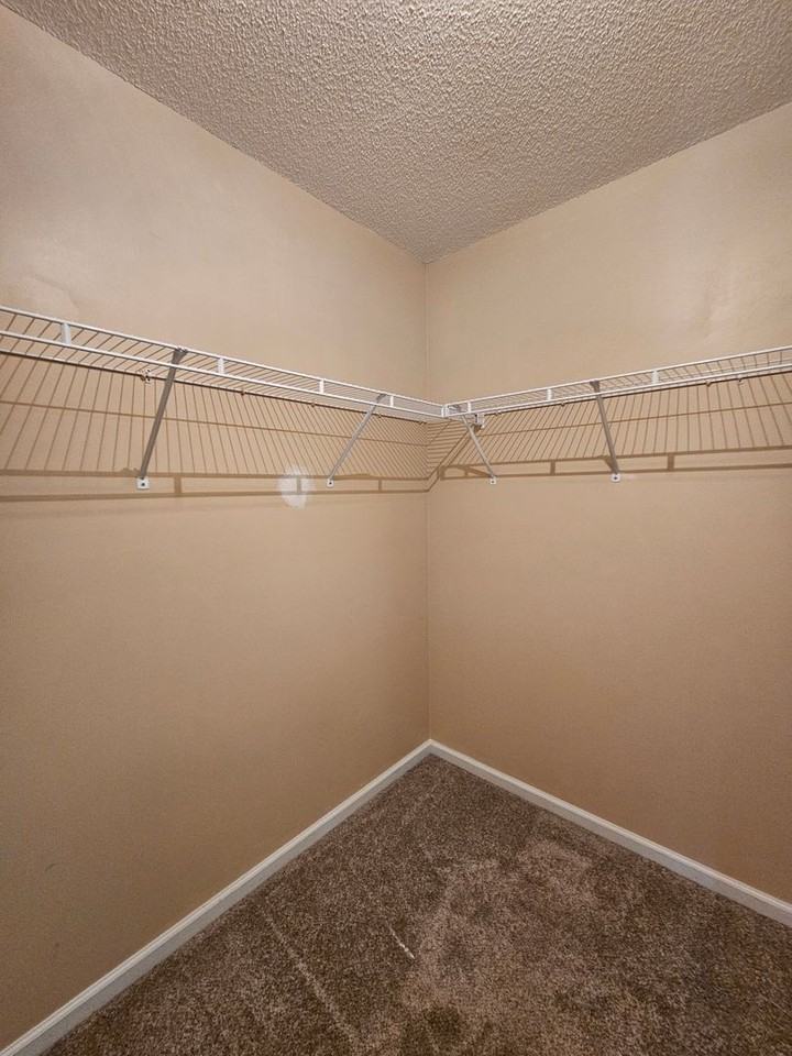161 Wheaton Dr - Photo 6 of 16
