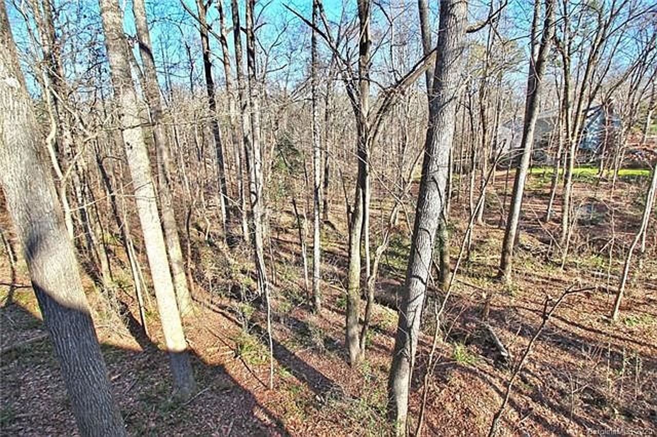 X Tuskan Drive - Photo 4 of 13