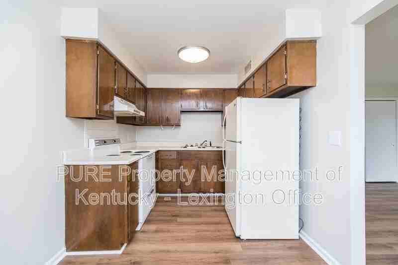 429 Chestnut St #13 - Photo 5 of 14