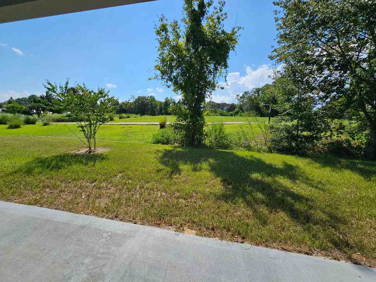 43 Westover Ln - Photo 3 of 14