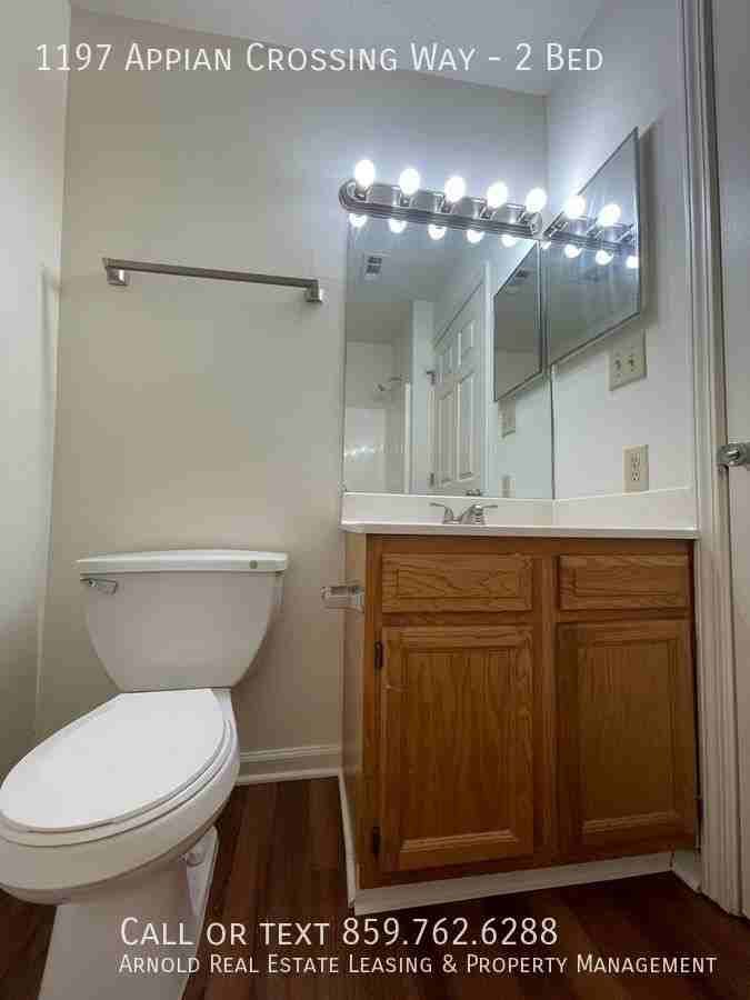 1197 Appian Crossing Way - Photo 3 of 13
