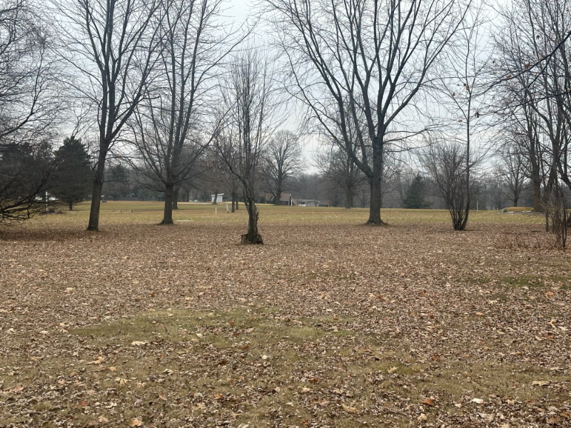 1113 E Division St #1113 - Photo 2 of 18