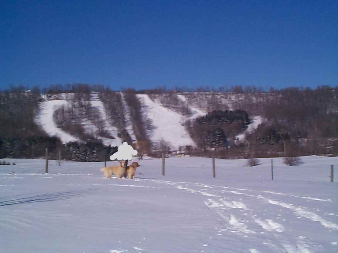 5099 Rathbun Rd #B - Photo 4 of 19