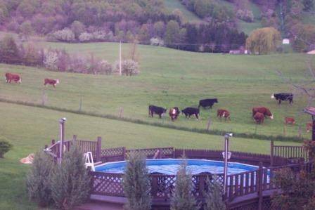 5099 Rathbun Rd #B - Photo 6 of 19