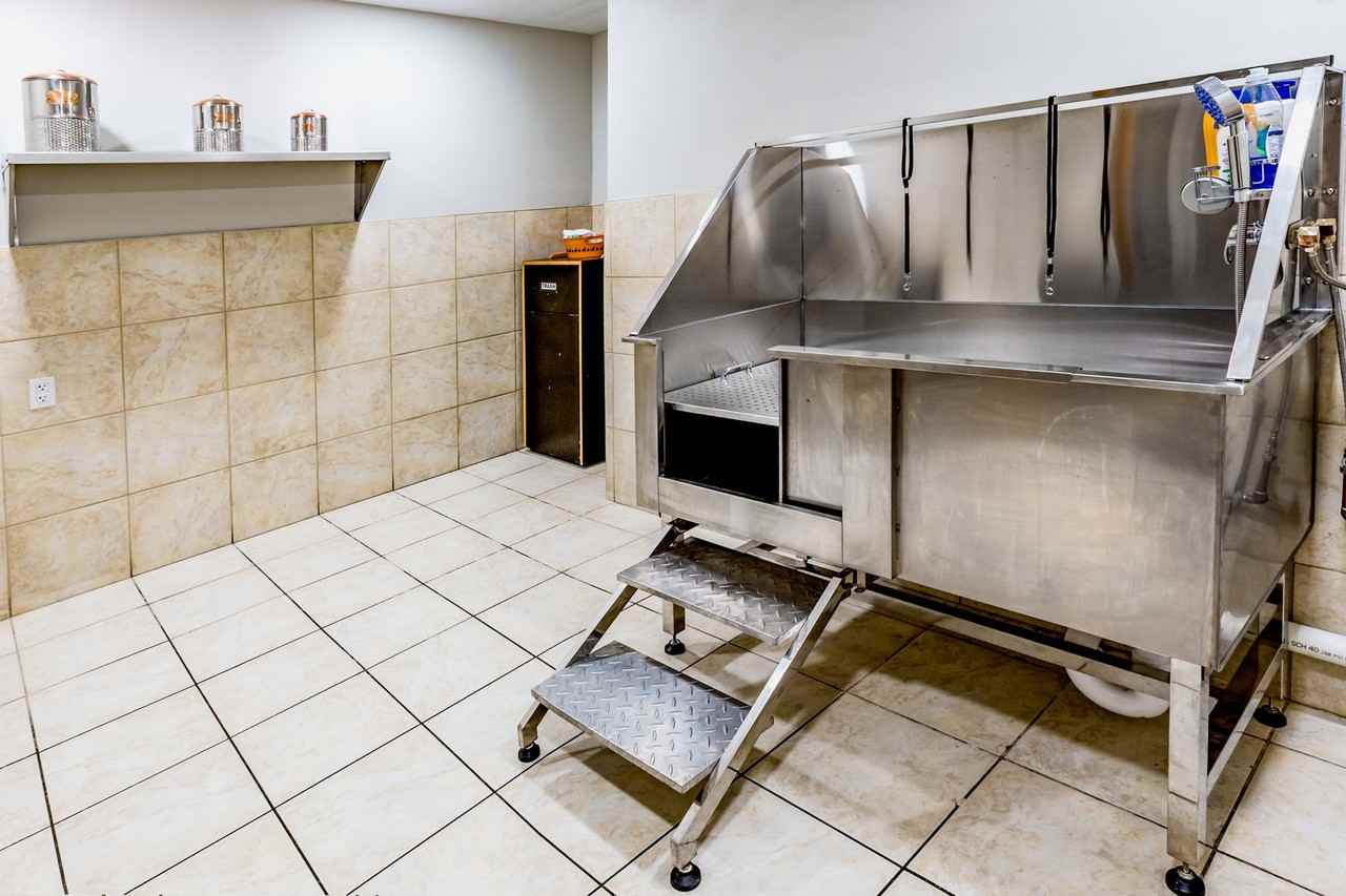 The Vibe at 8035 Apartments - Photo 5 of 50