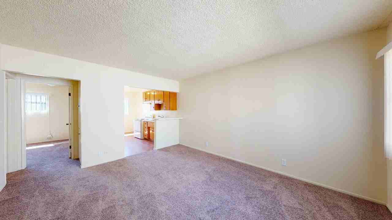 162984t - Photo 2 of 12