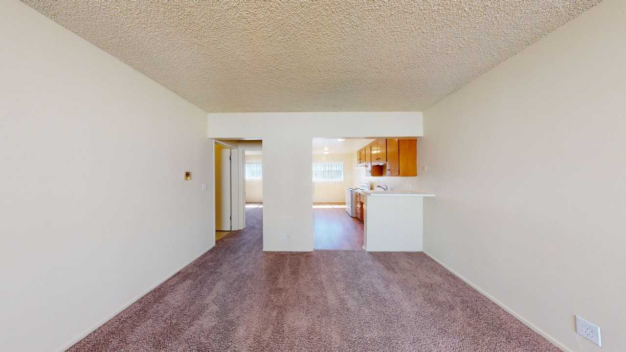 162984t - Photo 3 of 12